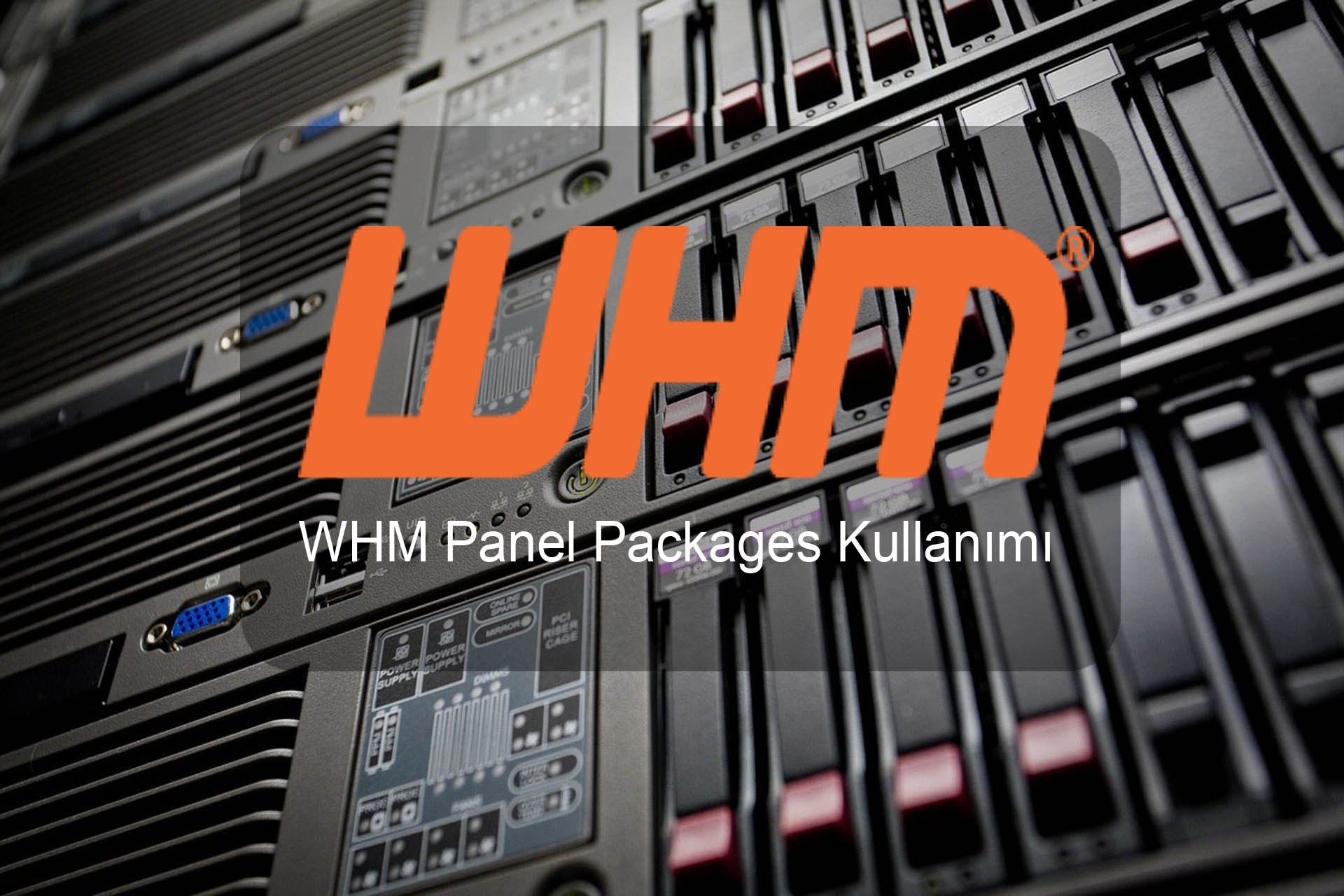 WHM Panel Packages Kullanımı